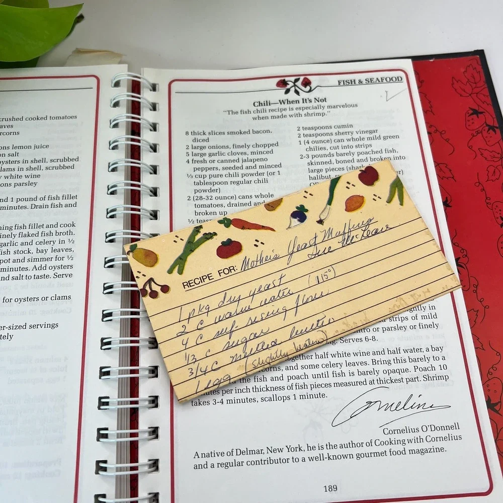 The Stenciled Strawberry Cookbook Vintage Junior League Albany NY Spiral Bound